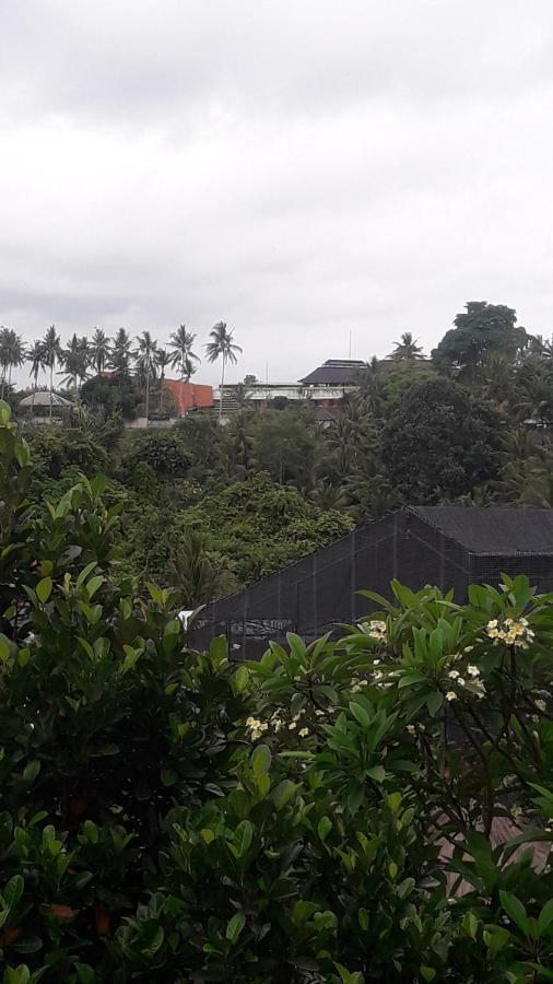 Waterfall Guest House Sukawati Buitenkant foto