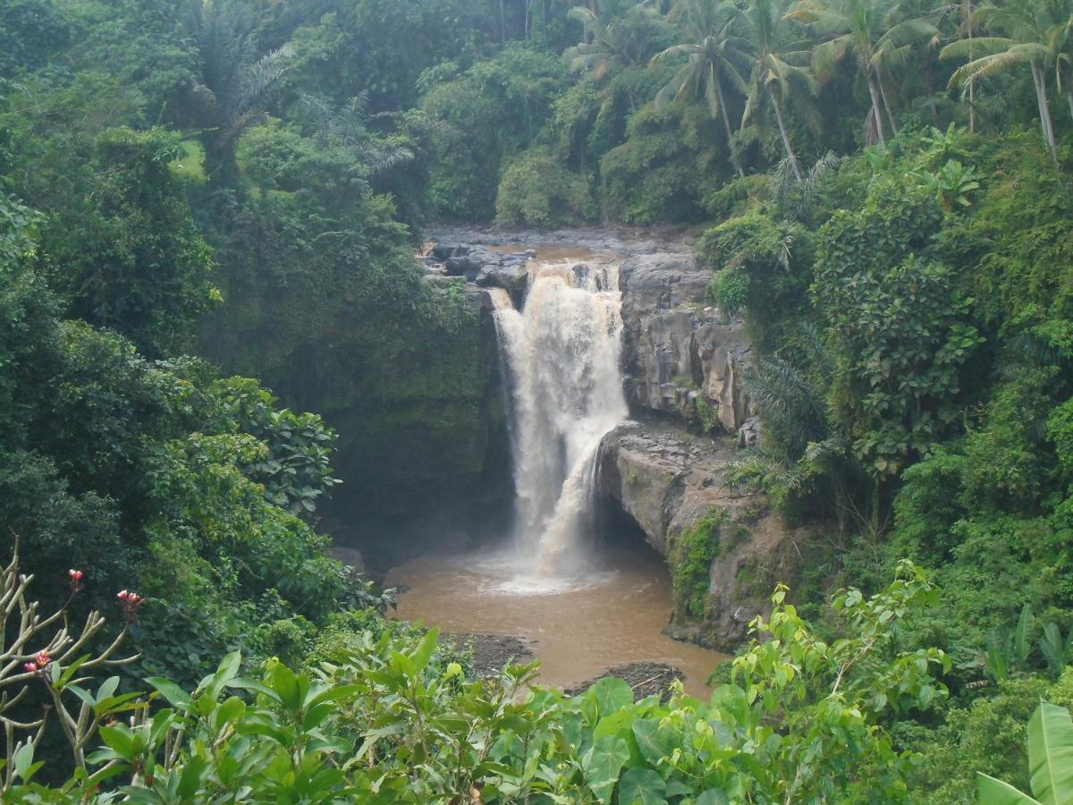 Waterfall Guest House Sukawati Buitenkant foto